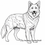 Long-Haired German Shepherd Coloring Pages 4