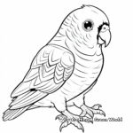 Lovely Cute Parakeet Coloring Pages 3