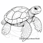 Lovely Hawksbill Turtle Shell Coloring Pages 1