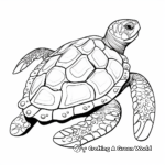 Lovely Hawksbill Turtle Shell Coloring Pages 2