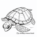Lovely Hawksbill Turtle Shell Coloring Pages 3