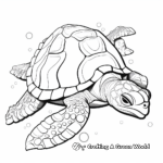 Lovely Hawksbill Turtle Shell Coloring Pages 4