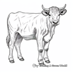 Lovely Simmental Cow Coloring Pages for Adults 1