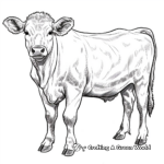 Lovely Simmental Cow Coloring Pages for Adults 2