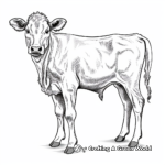Lovely Simmental Cow Coloring Pages for Adults 3