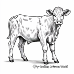 Lovely Simmental Cow Coloring Pages for Adults 4