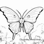 Luna Moth and Moonlight Coloring Pages 1