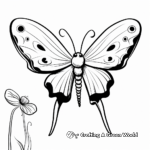 Luna Moth and Moonlight Coloring Pages 3