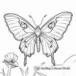 Luna Moth and Moonlight Coloring Pages 4
