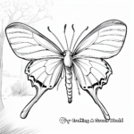 Luna Moth in Natural Habitat Coloring Pages 2