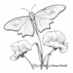Luna Moth on Flower: Nature Scene Coloring Pages 1