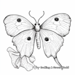 Luna Moth with Ornamental Pattern Coloring Pages 2