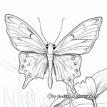 Luna Moth with Ornamental Pattern Coloring Pages 3