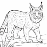 Lynx Hunting in Snow Coloring Pages 4