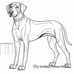 Magnificent Adult Great Dane Coloring Pages 1