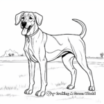 Magnificent Adult Great Dane Coloring Pages 2