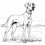Magnificent Adult Great Dane Coloring Pages 3