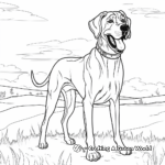 Magnificent Adult Great Dane Coloring Pages 4