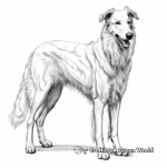 Majestic Borzoi Coloring Pages 2