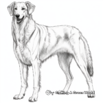 Majestic Borzoi Coloring Pages 4