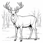 Majestic Bull Elk Coloring Pages 4