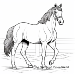 Majestic Clydesdale Horse Coloring Pages 2