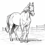 Majestic Clydesdale Horse Coloring Pages 4