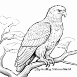 Majestic Eagle Coloring Pages 1
