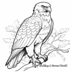 Majestic Eagle Coloring Pages 3