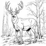 Majestic Elk during Fall Rut Coloring Pages 1