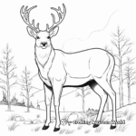 Majestic Elk during Fall Rut Coloring Pages 2