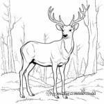 Majestic Elk during Fall Rut Coloring Pages 3