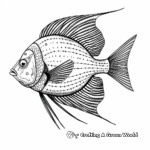 Majestic French Angelfish Coloring Pages 1
