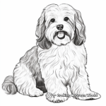Majestic Full-Grown Havanese Coloring Pages 1