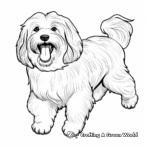 Majestic Full-Grown Havanese Coloring Pages 2