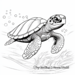 Majestic Green Sea Turtle Coloring Pages 2
