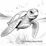 Majestic Green Sea Turtle Coloring Pages 3