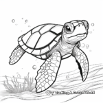 Majestic Green Sea Turtle Coloring Pages 4