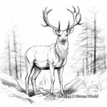 Majestic Mountain Dweller: Elk Coloring Pages 2