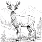 Majestic Mountain Dweller: Elk Coloring Pages 4
