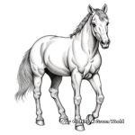 Majestic Mustang Horse Coloring Pages 1