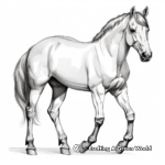 Majestic Mustang Horse Coloring Pages 3