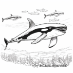 Majestic Orca Whale Pod Coloring Pages 4