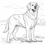Majestic St Bernard Dog Coloring Pages 2