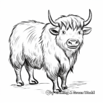 Majestic Wild Yak Coloring Pages 2