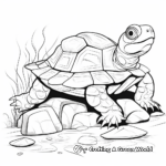 Malabar Coast Tortoise Shell Coloring Pages 1