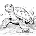Malabar Coast Tortoise Shell Coloring Pages 4