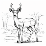 Male Gazelle with Impressive Horns Coloring Pages 2