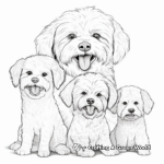 Maltipoo Family Coloring Pages: Male, Female, and Pups 1