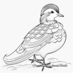 Mandarin Duck Coloring Pages 1